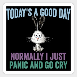 A Good Not a Normal Day funny sarcastic vintage design Magnet